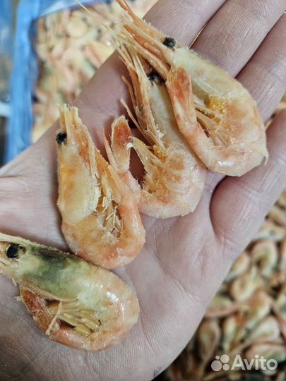 Креветка северная 5кг