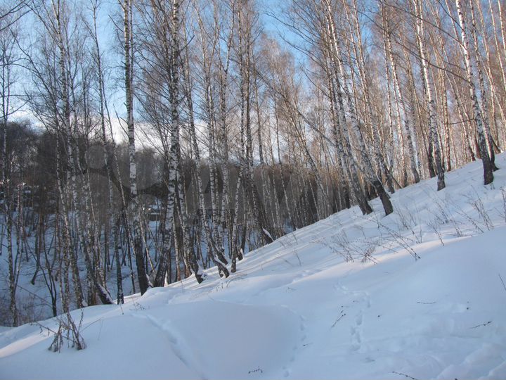 Участок 5 сот. (СНТ, ДНП)