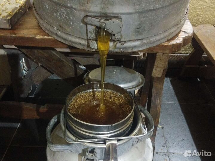 Пасека,пчелы