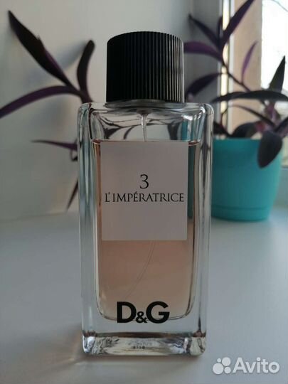 Dolce gabbana imperatrice