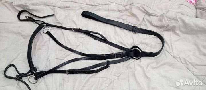 Амуниция для лошади и всадника