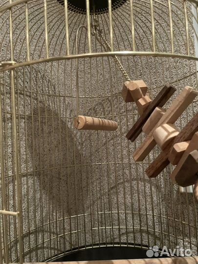 Клетка для попугая крупного