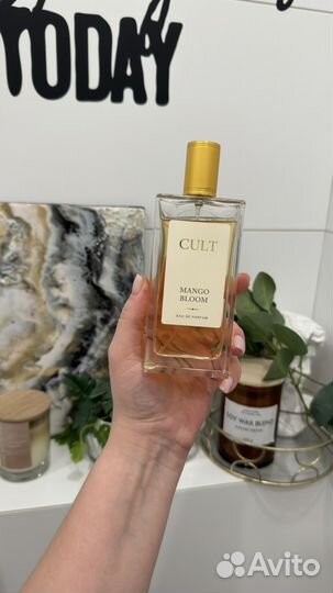 Cult mango bloom