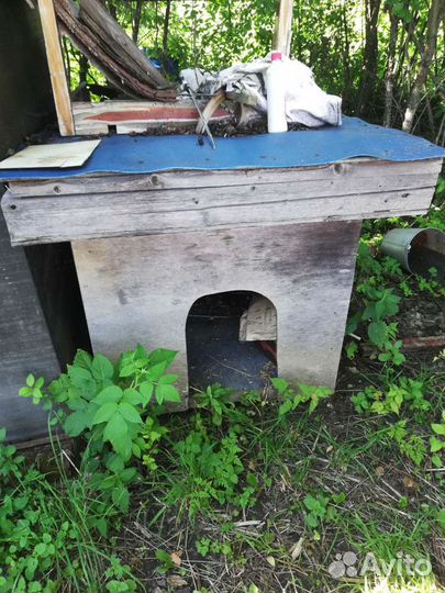 Будка для большой собаки