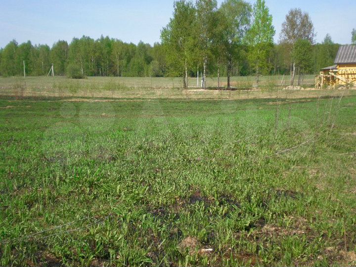 Участок 15,8 сот. (ИЖС)