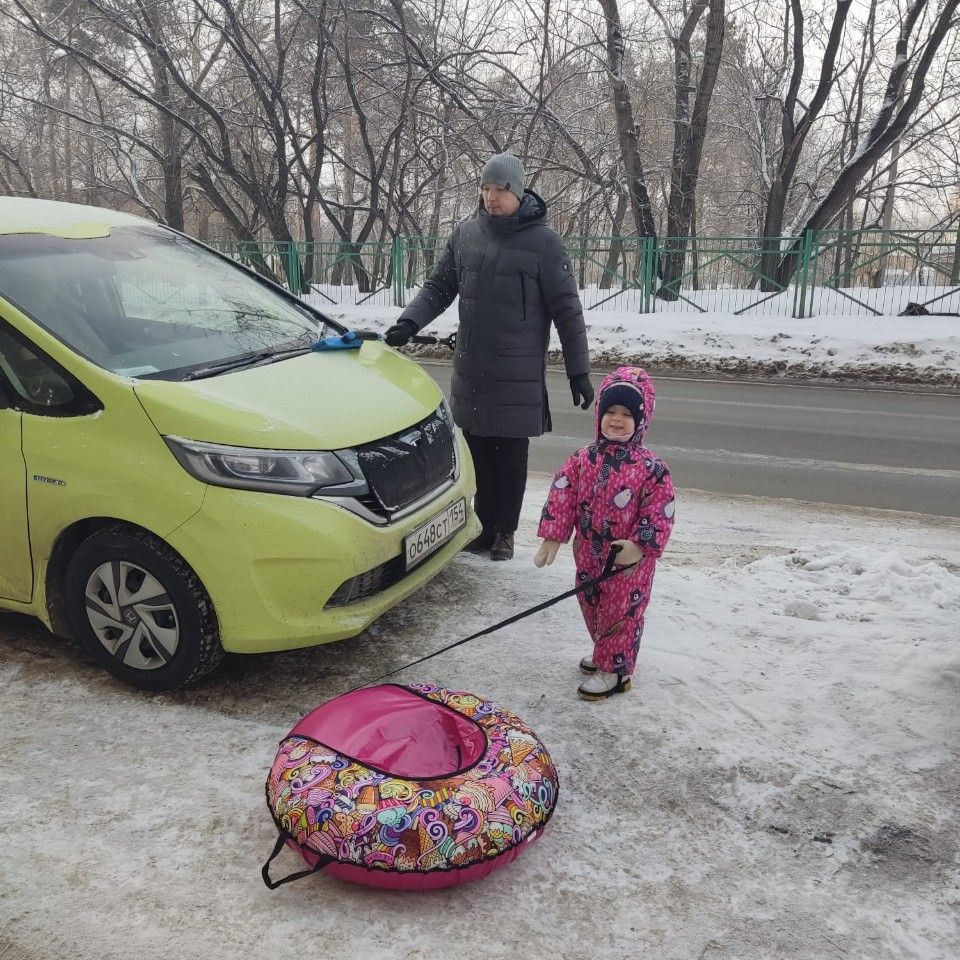 Honda Freed: фото владельца