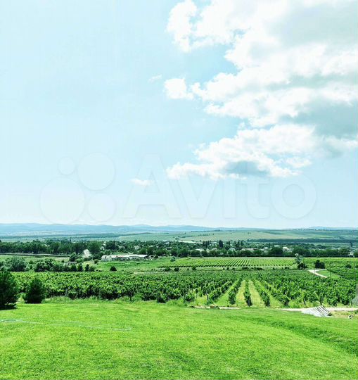 Участок 22 сот. (СНТ, ДНП)