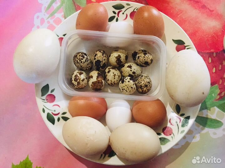 Мясо перепелов,Курица,Яйцо куриное и др