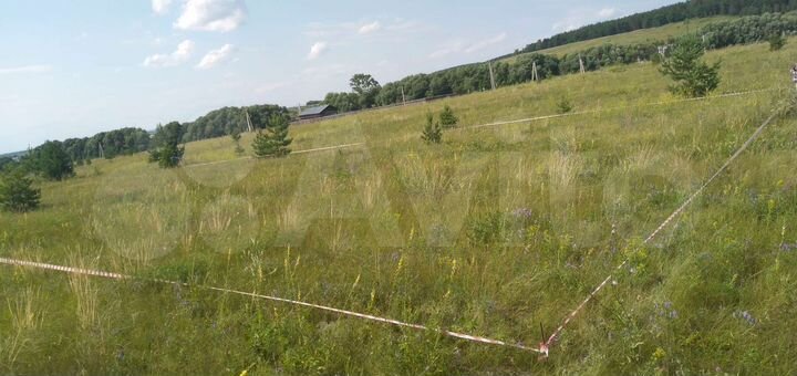 Участок 10 сот. (ИЖС)