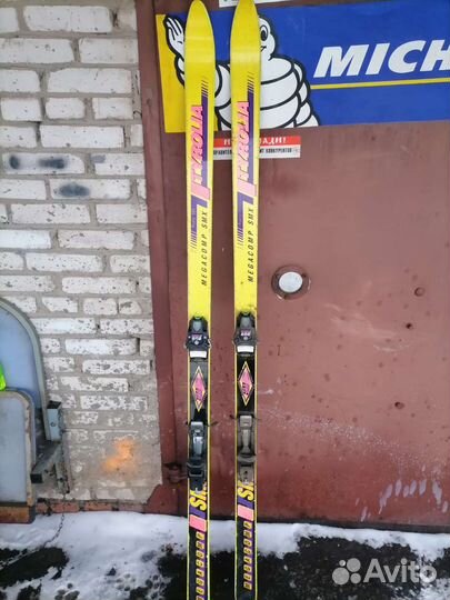 Горные лыжи