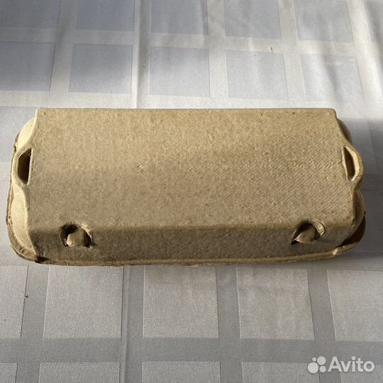 Домашние куриные яички