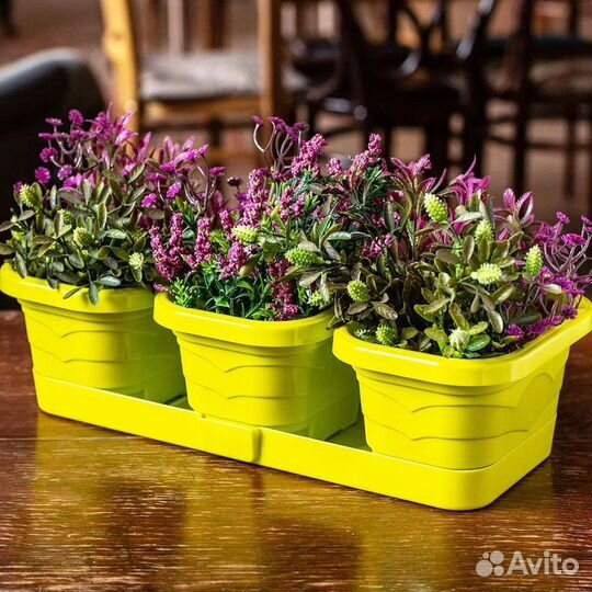 Набор Цветочное трио 