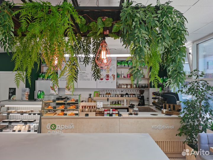 Бариста без опыта