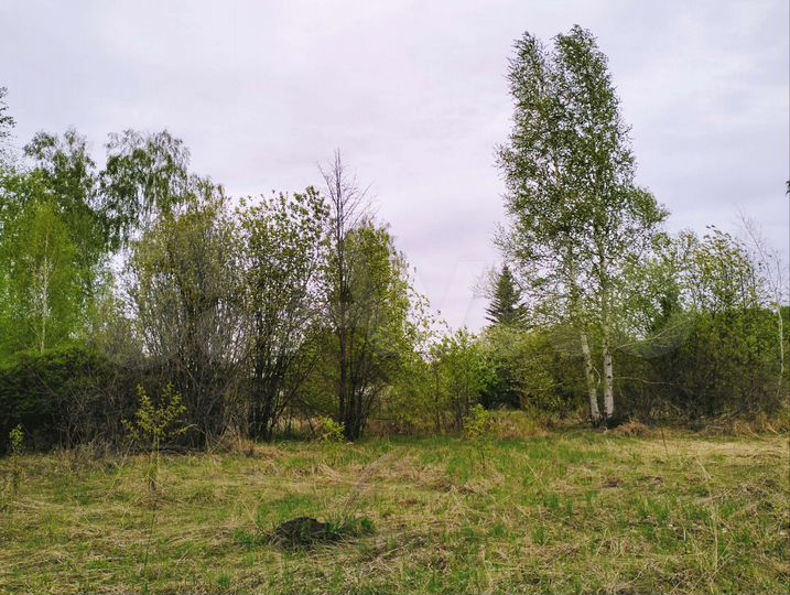 Участок 13,5 сот. (СНТ, ДНП)