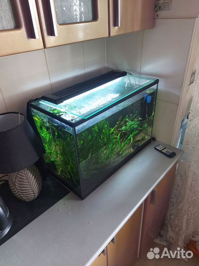 Аквариум 70 л