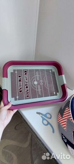 Лоток для кошки, ножницы для когтей и лежанка