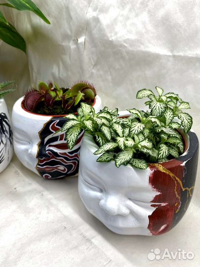 Кашпо ручной работы для растений