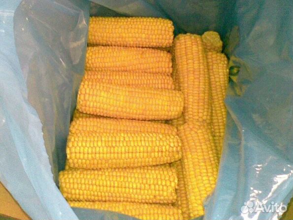 Кукуруза початок Индийская замороженная