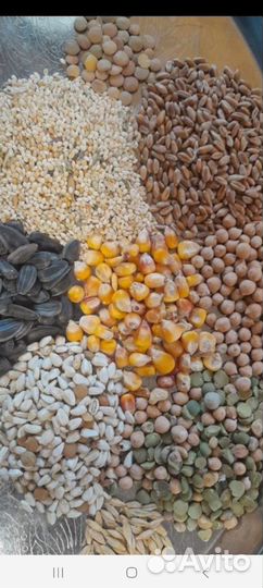 Корм для птиц.Комбикорм. зерносмесь дробленая