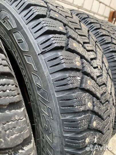 Cordiant Polar 195/65 R15