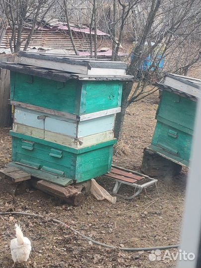 Улей для пчел бу, рамки