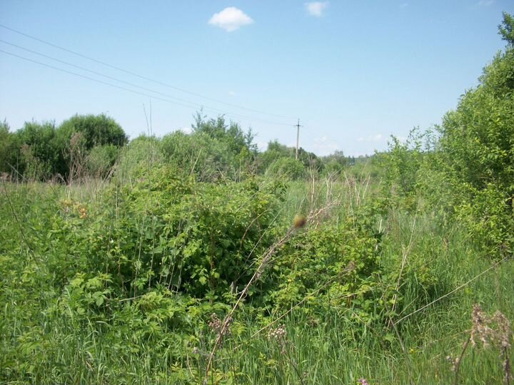 Участок 22 сот. (СНТ, ДНП)