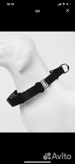 Строгий ошейник для собак