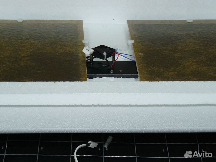 Умная наседка инкубатор для водоплавающих