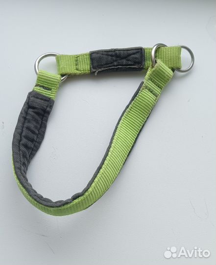 Ошейники и поводки для собак