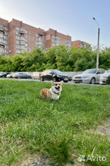 Вязка