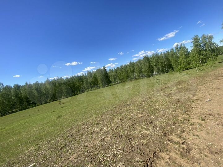 Участок 1,6 га (СНТ, ДНП)
