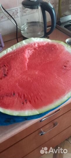 Арбуз оптом