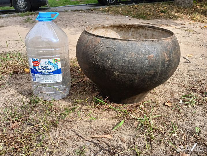 Чугунок большой