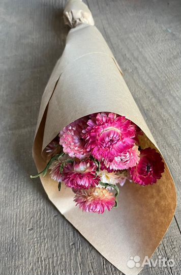 Гелихризум сухоцветы