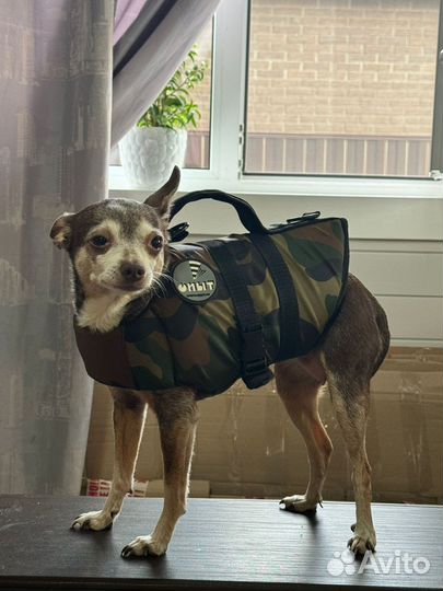 Спас жилет фирма 