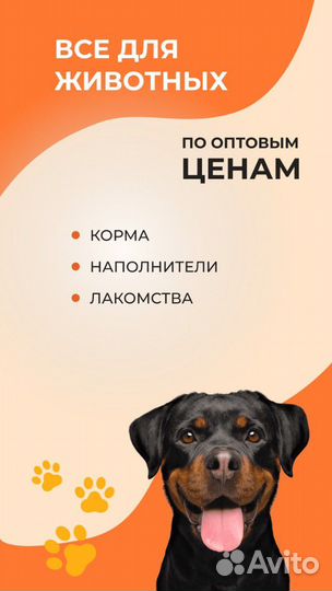 Корм для собак и кошек