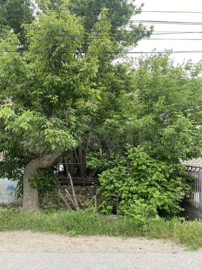 Участок 1,5 сот. (ИЖС)