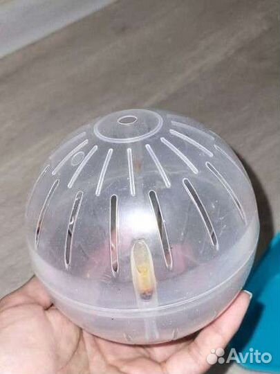 Вещи для хомяка