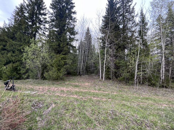 Участок 11,5 сот. (СНТ, ДНП)