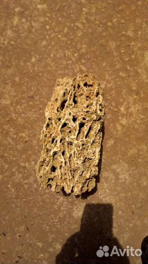 Природный камень ракушечник для аквариума