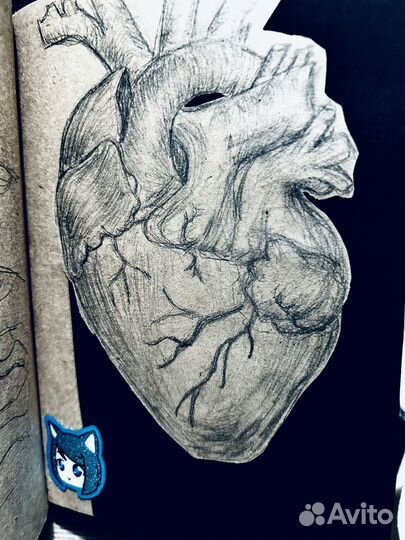 Скетчбук с рисунками