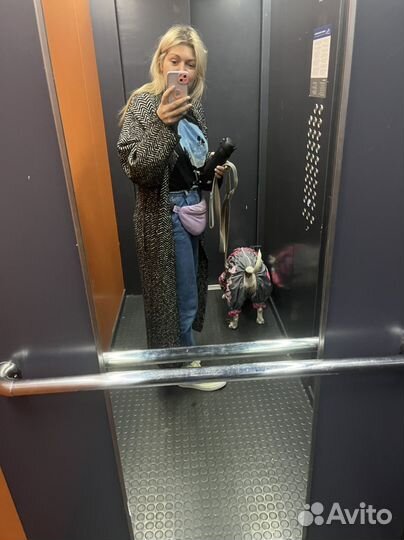 Выгул и передержка питомцев дома