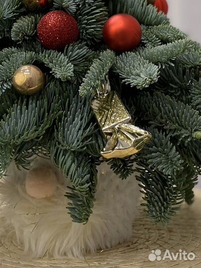 Елочка из нобилиса «Гном»