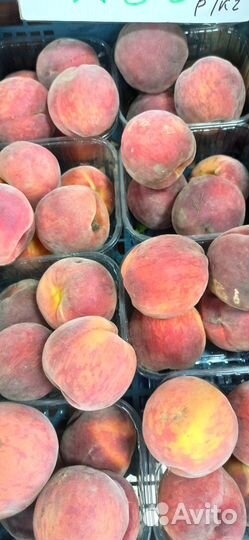 Краснодарская Клубника свежая ягода