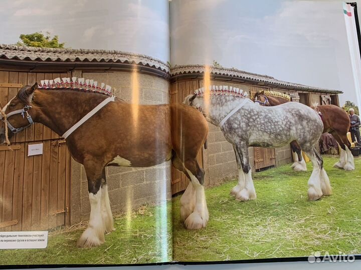 Книги про лошадей