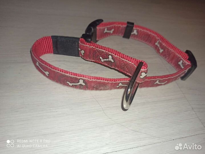 Ошейник для собак