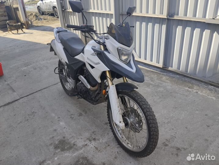Racer Ranger 300