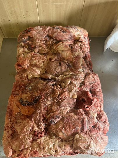 Мясо для собак Говядина Натуральный корм