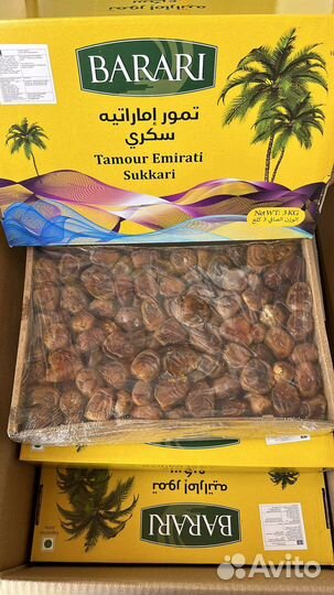 Финики суккари