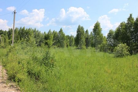 Участок 20 сот. (СНТ, ДНП)